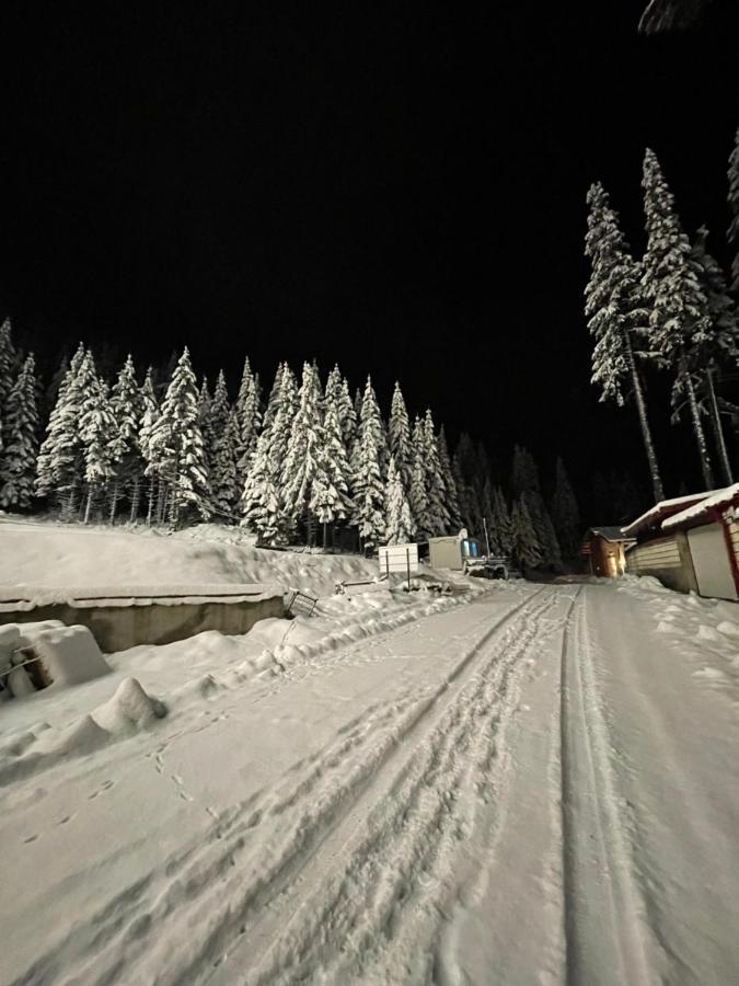 Cozy Apartment B35 In Grand Resort Pamporovo Exteriör bild
