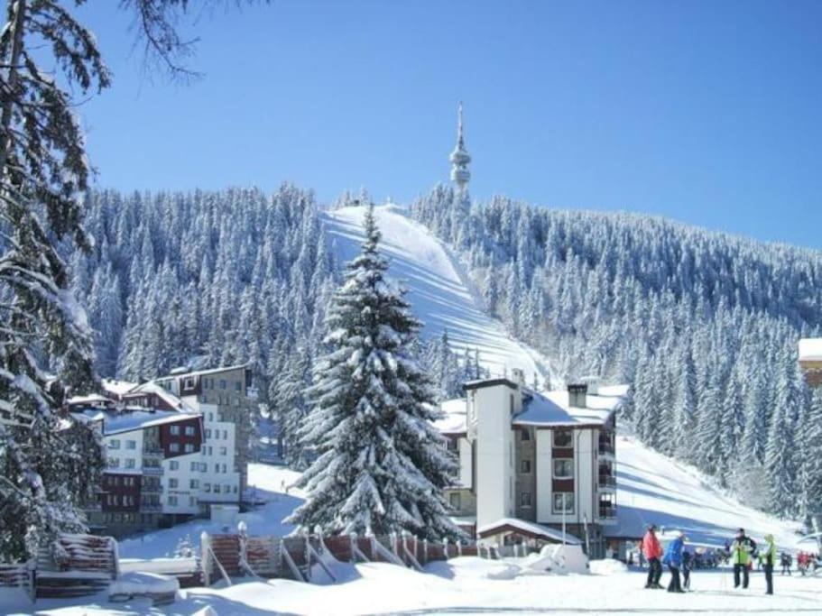 Cozy Apartment B35 In Grand Resort Pamporovo Exteriör bild